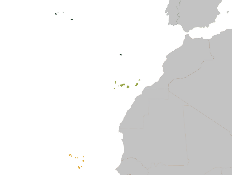 MAPA MACARONESIA